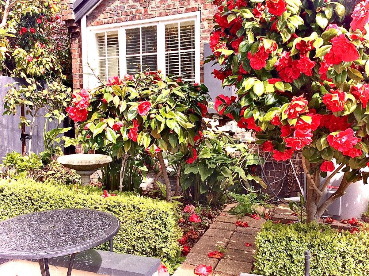 Kurrajong House Launceston Exterior foto